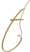 icon logo